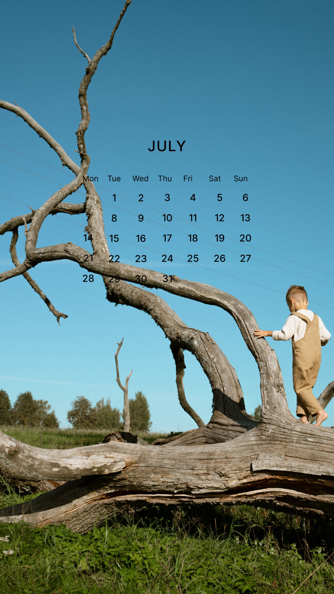 July Calendar